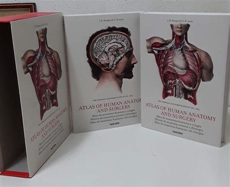 Atlas Of Human Anatomy And Surgery Ii Tomos De J M Bourgery N H