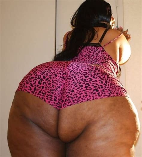 Fat Asses Porn Pictures XXX Photos Sex Images 3895571 PICTOA