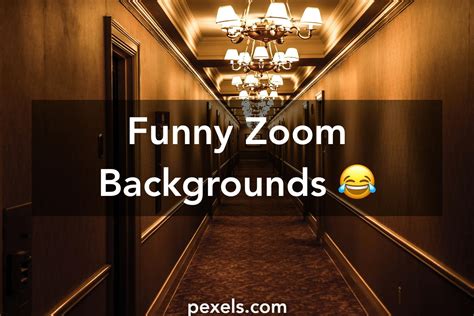 Funny Zoom Backgrounds Pexels Free Zoom Backgrounds Plain Color