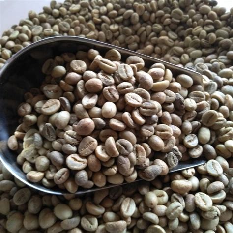 Robusta coffee beans | Inaexport