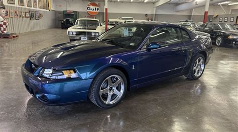 2022 Mustang Cobra Svt