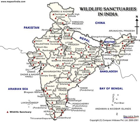 wildlife map  india india wildlife map indian wildlife maps