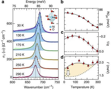 Temperature Dependent Electronphonon Coupling Of The Ni O Stretch