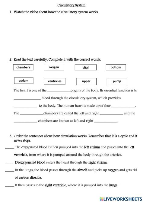 Human Circulatory System Worksheet Distance Learning Worksheets Library