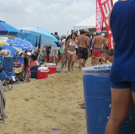 Beach Festival Beach Bikini Forum
