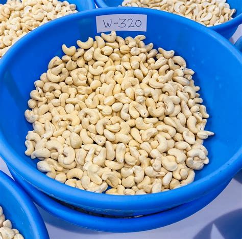 W320 Gold Cashews At ₹ 950kilogram Cashew Nuts In Jaipur Id