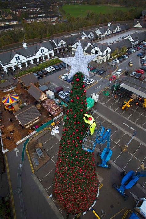 In Pictures Europes Biggest Walk In Christmas Tree To Be Unveiled At