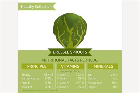 Brussel Sprouts Nutritional Facts Food Illustrations ~ Creative Market