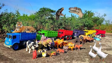 Keren Truck Oleng Tayo Angkut Sapi Dinosaurus Bebek Angsa Kelinci