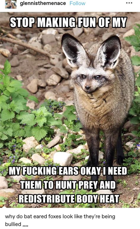 AYO LOOK AT HIS BIG ASS EARS R Tumblr