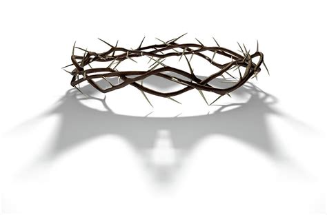 Crown Of Thorns With Royal Shadow Digital Art by Allan Swart - Pixels