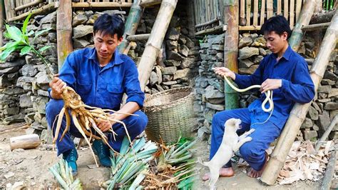 One Years Of Survival In The Tropical Rainforest Survival Challenges