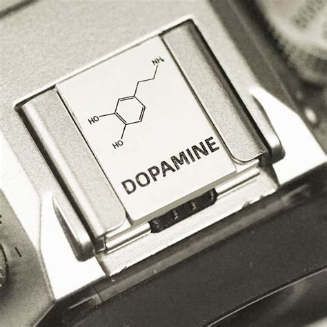 Thích hợp cho Nikon Z Z Z Z Hot Shoe Cover Canon R M R Universal Hot Shoe