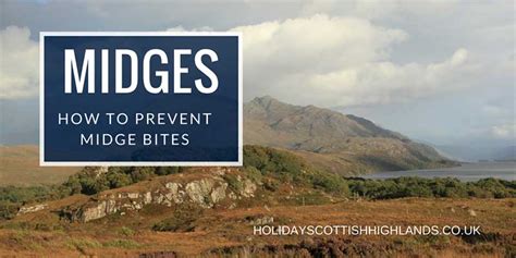 Midges in Scotland (2021): best midge repellent, how to prevent midge bites