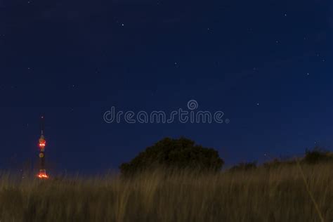 View Of The Starry Night Sky With The Grass Moving With The Air Stock Image Image Of Dust