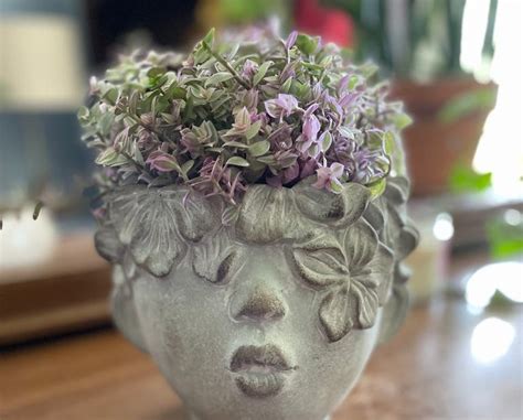 🐛 What Are The Bugs on My Creeping Inch Plant?