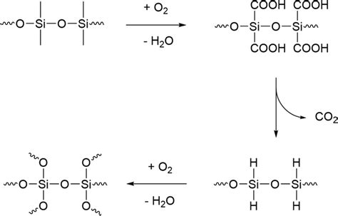 Mechanism For The Evolution Of CO2 During The Thermal Degradation Of