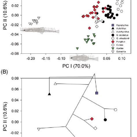 Principal Component Analysis Pca Of Body Shape Variation Numbers In