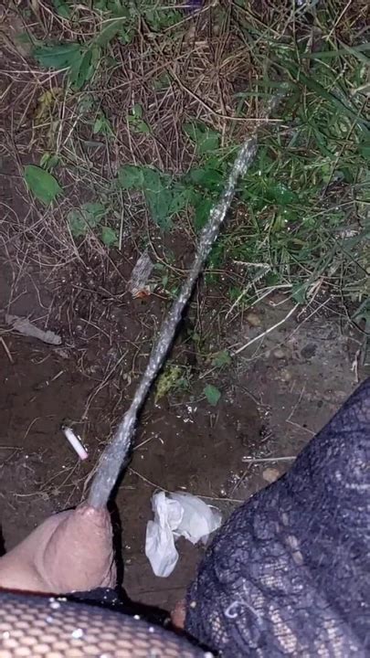 Serbian Shemale Porn Videos With Trannies Fucking Xhamster