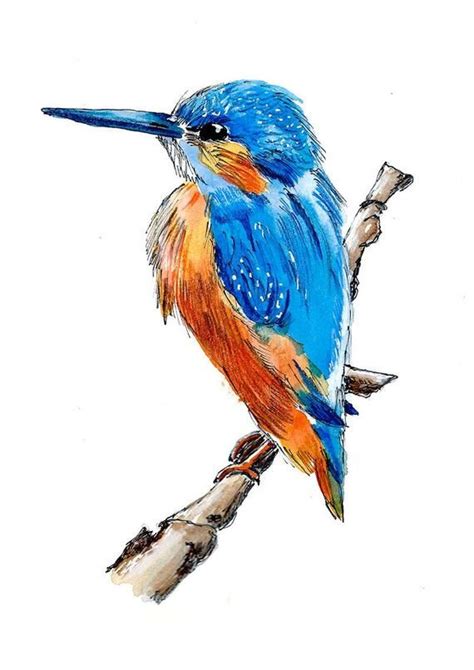 Kingfisher Watercolour Print From Original Watercolour Painting