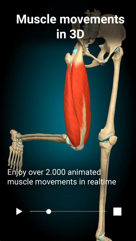 Anatomy Learning 3d Anatomy Apk For Android Download