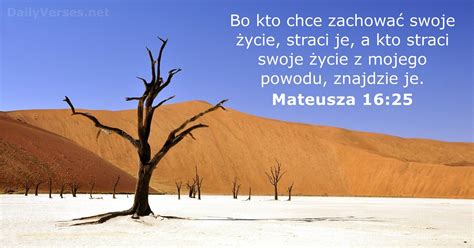 17 Czerwca 2020 Biblijny Werset Dnia Mateusza 16 25 DailyVerses Net