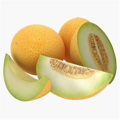 Melon 03 3d Model 29 Max Fbx Obj 3ds Free3d