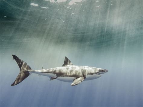 Links Naked Capitalism