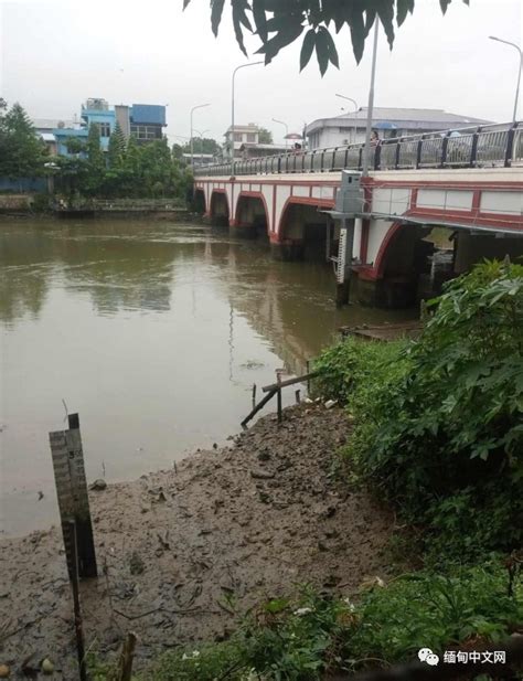 发生了什么缅甸一条小河短时间内水位急剧下降河床露出水面 腾讯新闻