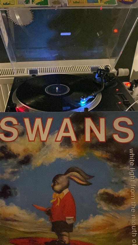 my first swans record, loving it so far : r/swans