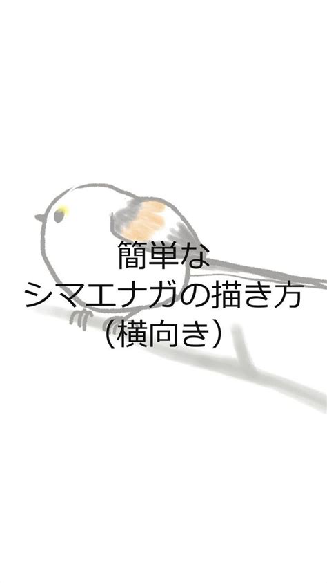 簡単な シマエナガの描き方（横向き）