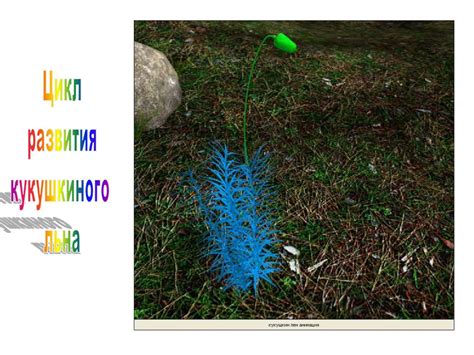 Жизненные циклы - online presentation