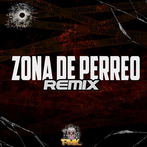 Zona De Perreo Remix Single By Dj Pirata Spotify