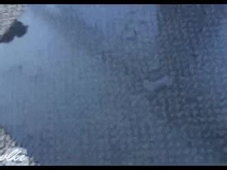 Delightfulhug Mfc Dildo Cumshow Private Show Pornhub