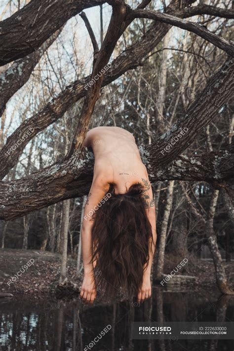 Naked Woman Lying On Tree Passion Faceless Stock Photo