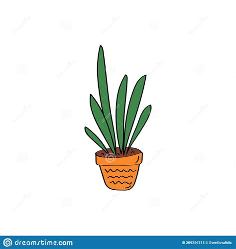 Sansevieria Sign House Plant Flowers In Pot Stock Vector