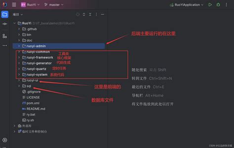 若依项目的介绍（前后端分离版本）怎么描述若依项目 Csdn博客