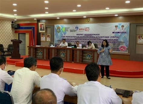 Pintauli Dorong Peran Swasta Turunkan Stunting Lewat Csr