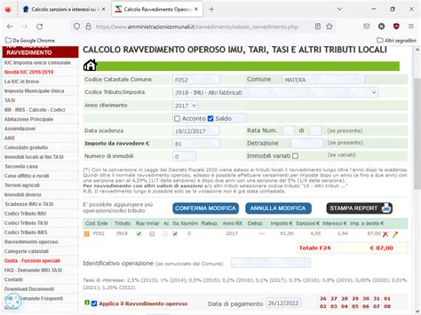 Calcolo Sanzioni E Interessi Su Imu