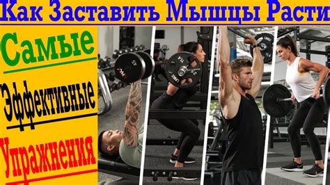 Самые эффективные упражнения для набора МЫШЕЧНОЙ МАССЫ! - YouTube