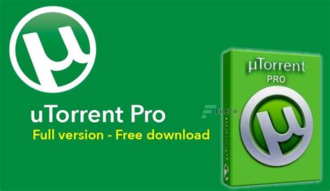 Download Torrent Pro