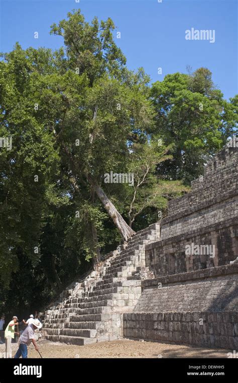 La Acr Polis Las Ruinas Mayas De Cop N Honduras Fotograf A De Stock