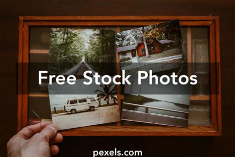 Person Pp Size Photo Images Photos Download The Best Free Person Pp