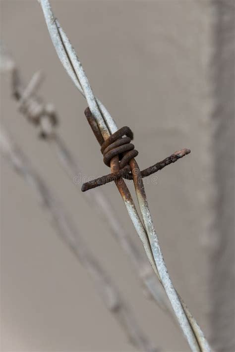 Barded Wire Fence Stock Image Image Of Rusted Mesh 141550455