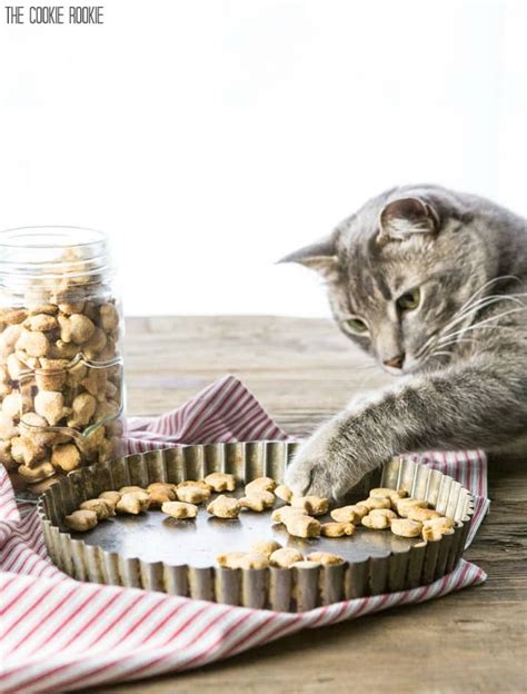 Homemade Cat Treats Recipe - 3 Ingredient Salmon Cat Treats