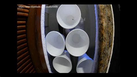 FBC And Her Game Of Cup CRUSH MOV Amateur Soles Giantess And Footjobs Clips Sale