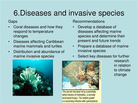 PPT - Climate Change Impacts on Coastal and Marine Biodiversity ...