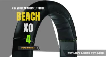 Exploring The Bizarre Question Sex With A Turtle Petshun