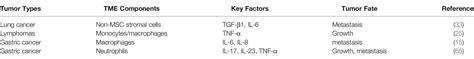 Frontiers The Origins And Generation Of Cancer Associated Mesenchymal