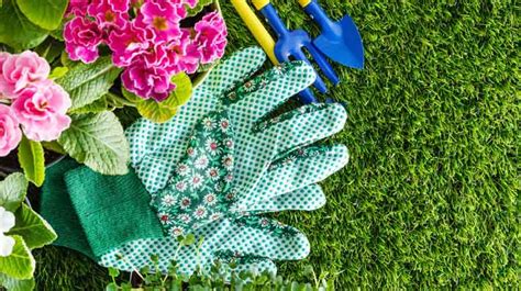 A Seasonal Guide: Spring Lawn and Landscape Care